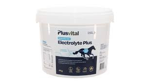 Plusvital Electrolyte Plus 2kg